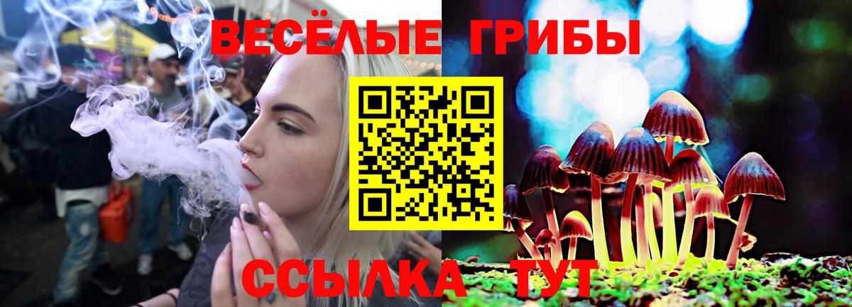 Галлюциногенные грибы мухоморы Стрежевой